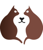 dog & cat